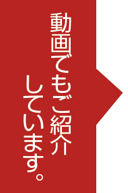 動画でもご紹介しています。